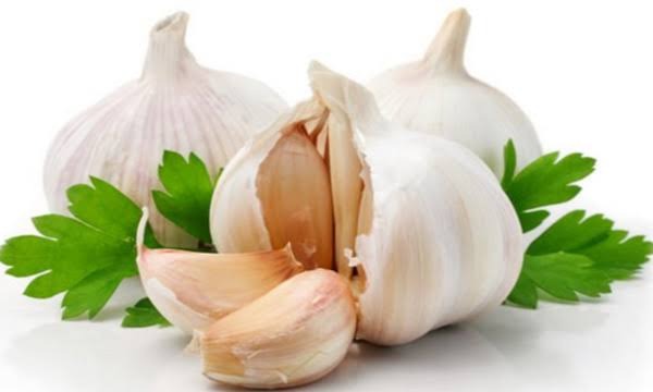 Vegetable Garlic